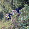 IMG_4377 IMG_4377
