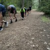 IMG_4566 IMG_4566